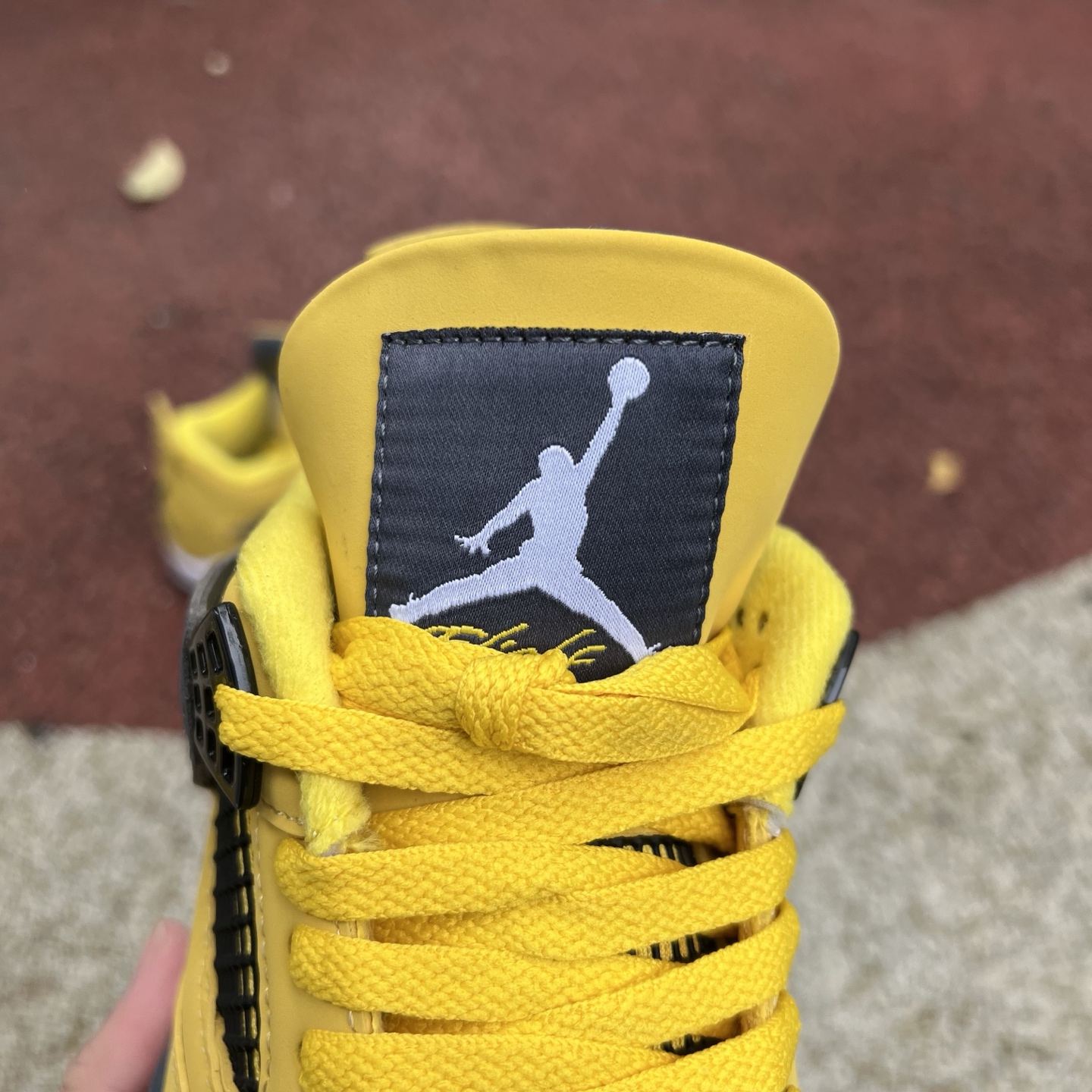 Nike Jordan shoe